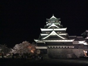 熊本城の夜桜